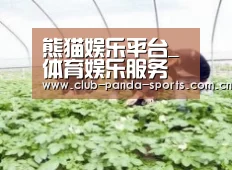 种植基地三