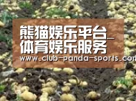 种植基地七