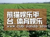 种植基地五