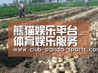 种植基地八