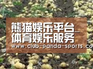 种植基地八(图1)