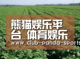 种植基地五(图1)