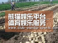种植基地七(图1)