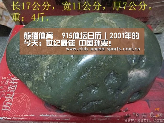 熊猫体育官网