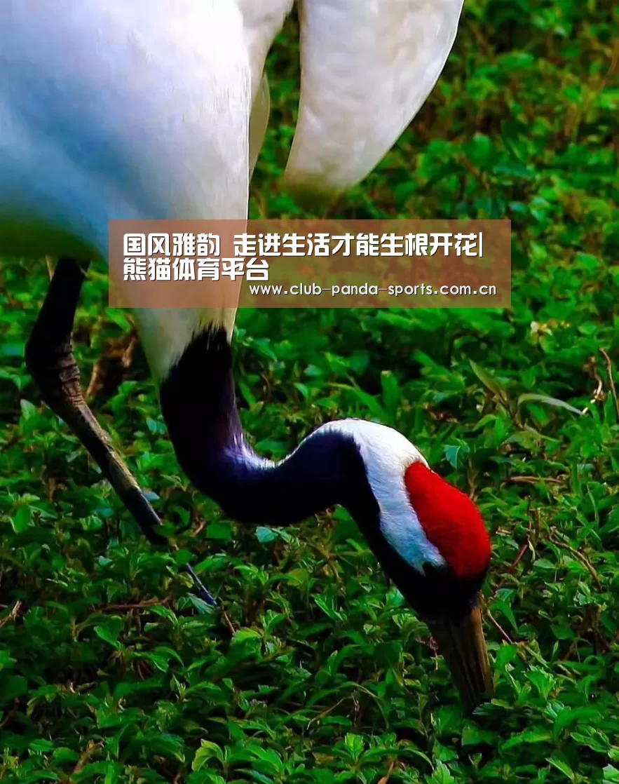 国风雅韵 走进生活才能生根开花|熊猫体育平台(图1) 熊猫体育