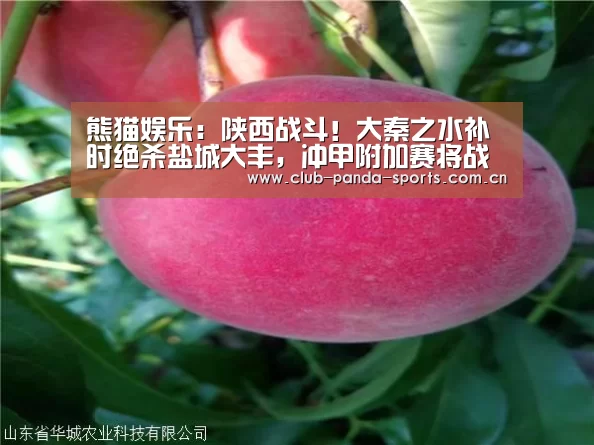 熊猫体育平台