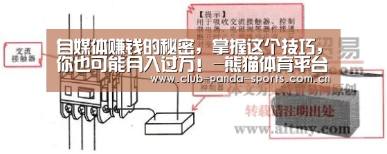 自媒体赚钱的秘密,掌握这个技巧,你也可能月入过万!-熊猫体育平台(图2) 熊猫娱乐
