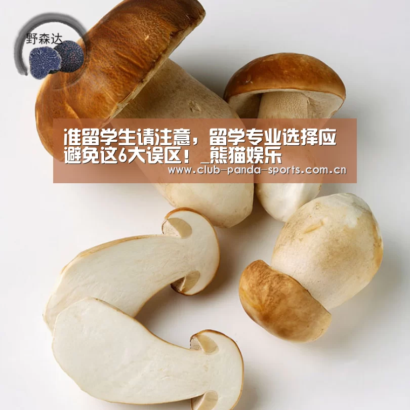熊猫体育