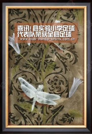 喜讯!县实验小学足球代表队荣获全县足球联赛亚军_熊猫体育平台(图1) 熊猫体育